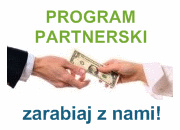 Program partnerski