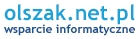 profesjonalne usługi informatyczne