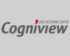 Cogniview PDF2XL