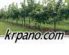 krpano-branding-free