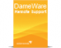 DameWare Remote Support Version Upgrade